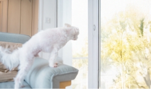 虫・花粉の侵入
ペットの脱走を防げる