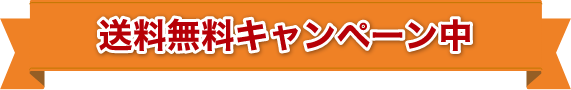 送料無料キャンペーン中